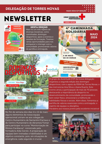Newsletter - 13ª edição
